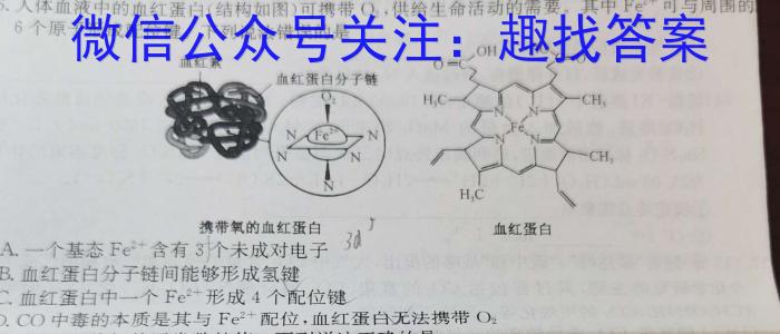 【精品】2024年陕西省高三教学质量检测试题(三)化学