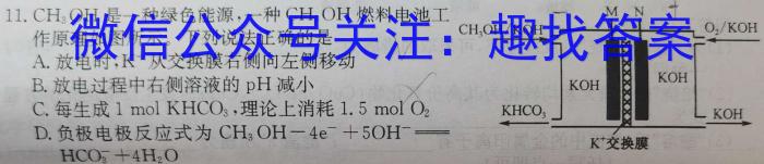 安徽省萧县2023-2024学年第二学期八年级期末教学质量检测化学