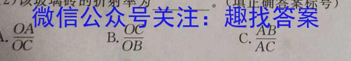 鼎尖大联考2024届高三年级下学期5月联考物理试卷答案