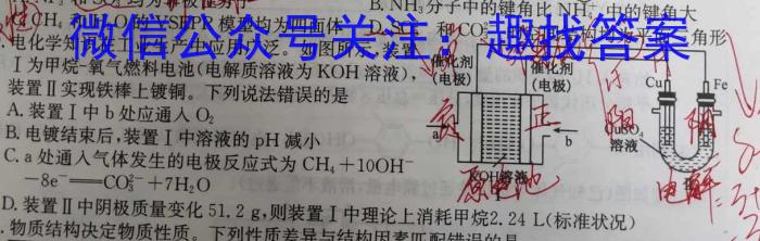 安徽省2024-2025学年九年级开学考化学