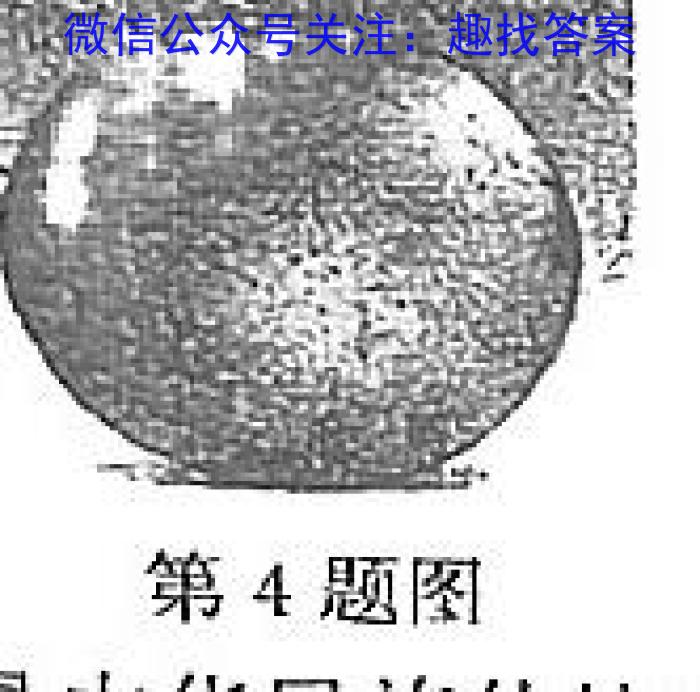 2024年安徽省初中学业水平检测（4月）f物理