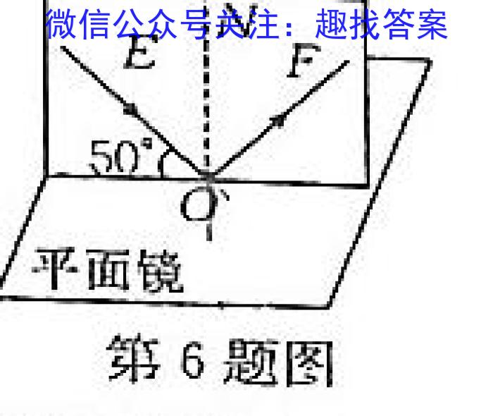 云南师大附中2023-2024年2022级高二年级教学测评月考卷(六)6h物理