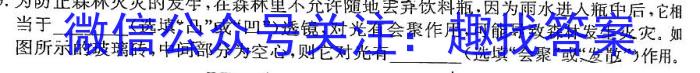 安徽省2024年中考密卷先享模拟卷(一)物理`