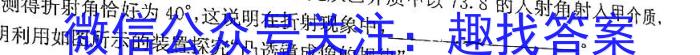 衡水金卷先享题月考卷 2023-2024学年度上学期高二年级期末考试物理`