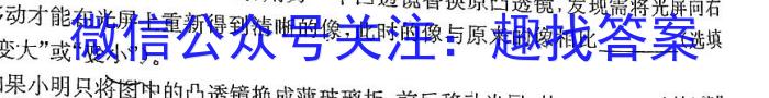 NT2024-2025ѧ߶꼶9ѧ׿xԾ
