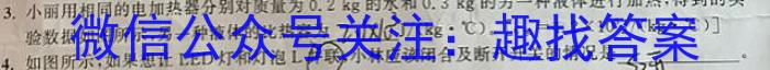 山西省2024年中考模拟示范卷（四）物理`