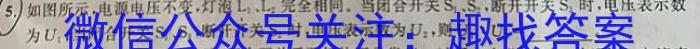 河南省唐河县2024年春期期中阶段性文化素质监测八年级h物理