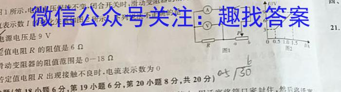 安徽省2023-2024学年八年级第二学期期中教学质量检测h物理