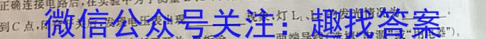 [柳州三模]柳州市2024届高三第三次模拟考试物理试卷答案