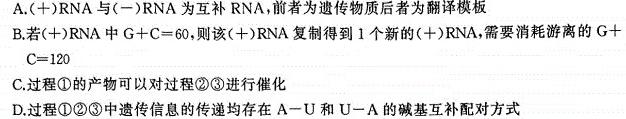 2024年陕西省初中学业水平考试母题卷(试卷类型B)生物学部分