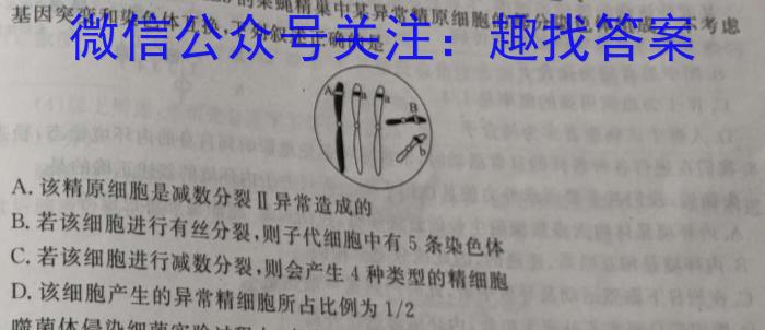 九师联盟2023-2024学年高一下学期6月教学质量检测（A）生物学试题答案