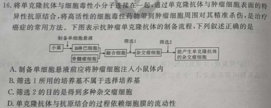 2025届普通高等学校招生全国统一考试青桐鸣高二联考(3月)生物学部分