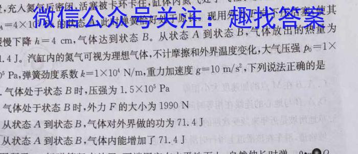 名校之约-2024河南省中招考试模拟试卷(二)2物理