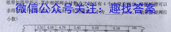 2024年普通高等学校招生全国统一考试模拟检测试题(一)1l物理