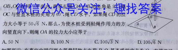 鼎鑫书业2024年普通高等学校招生全国统一考试押题密卷(一)1物理试题答案