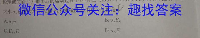 天壹名校联盟2024年上学期高二入学摸底考试物理试卷答案