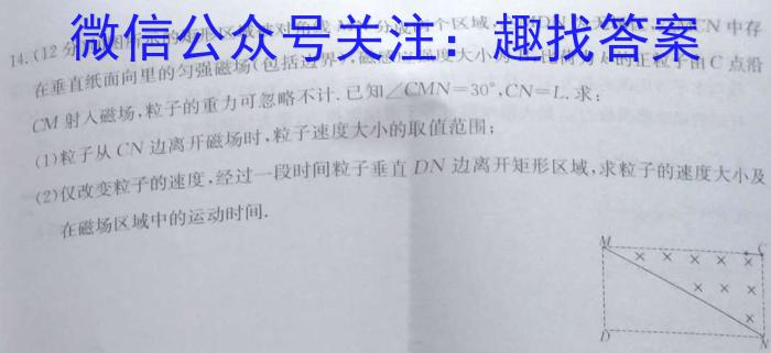 湘楚名校2024-2025学年度上学期高三年级八月联考（10001C）物理试题答案