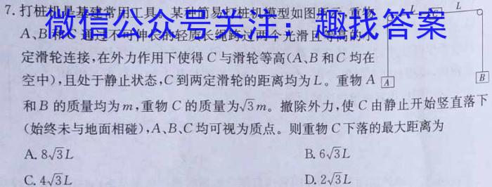 安徽省合肥七中2024届高三最后一卷物理试题答案