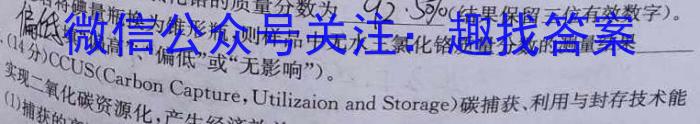 【精品】天一大联考 2024届高三年级第二次模拟考试化学