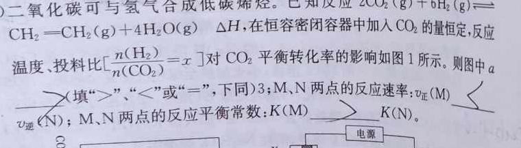 12023-2024学年福建省泉州市高二期中考(24-439B)化学试卷答案