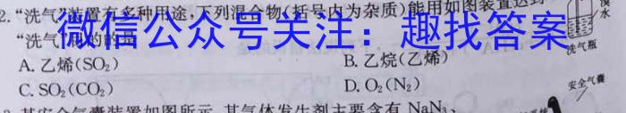 安徽省2024-2025学年八年级12月月考（无标题）化学