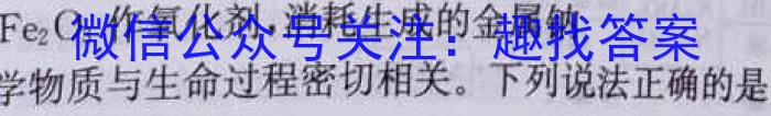 q2023-2024学年广西高一年级5月阶段性考试(24-542A)化学