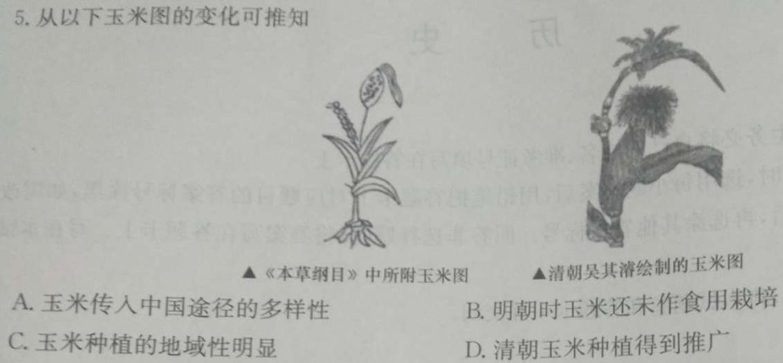 2024年湖南省普通高中学业水平合格性考试仿真试卷(专家版五)历史