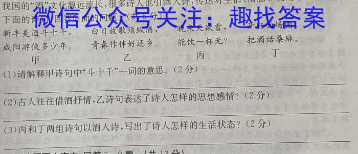 河南省2023-2024学年高一下学期第三次月考（545）语文