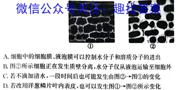 江西省2024年高二赣州市十八县(市)二十四校期中联考(24-420B)生物学试题答案