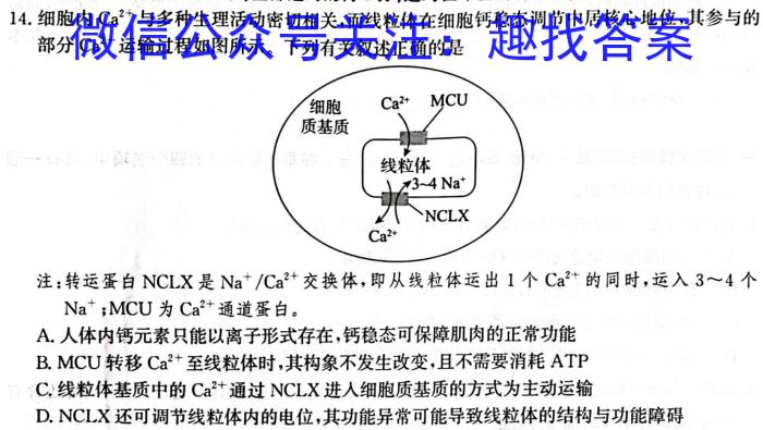 2024普通高等学校招生全国统一考试冲刺预测全国卷(二)生物学试题答案