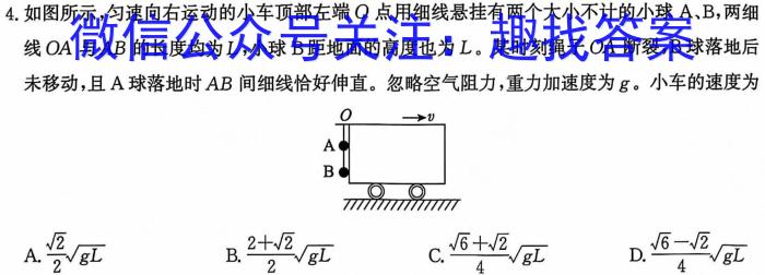 福建2023-2024学年度高二期中考试(24-469B)物理试卷答案