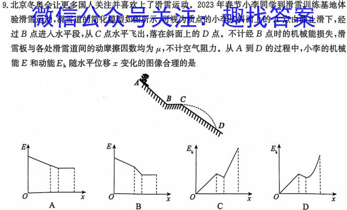 安徽省2024年九年级考前适应性评估(二) 7L物理试卷答案