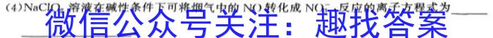 【精品】一步之遥 2024年河北省初中综合复习质量检测(一)化学