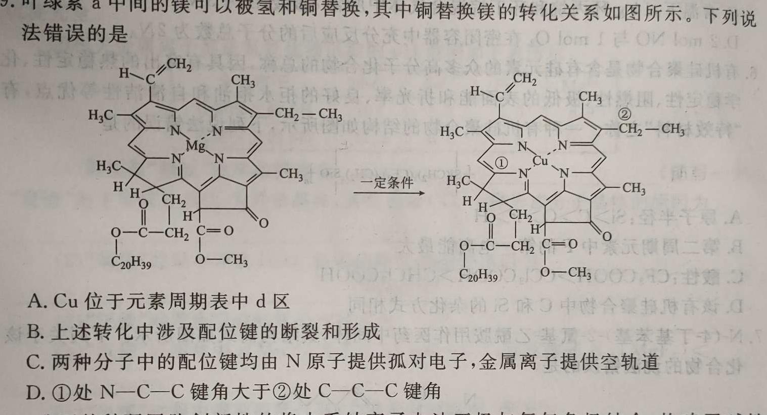 【热荐】河北省2024年九年级6月模拟（一）化学