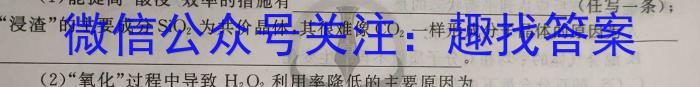 【精品】第九届湖北省高三(4月)调研模拟考试(2024.4)化学