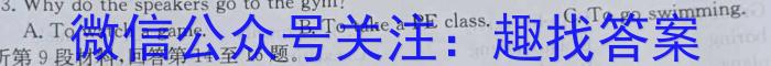 安徽省十联考 合肥一中2024届高三最后一卷英语试卷答案