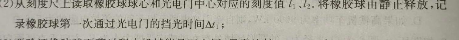 2024届长沙市一中高考适性演练(一)物理试题.