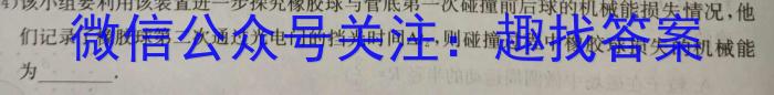 安徽省2023-2024八年级教学质量监测（4月）h物理