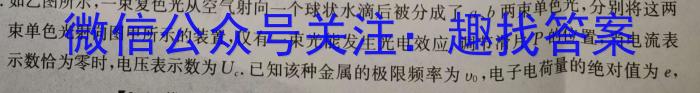 2024年河南省初中学业水平考试全真模拟试卷（三）h物理