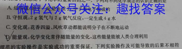 32024年陕西省初中学业水平考试全真模拟(一)1化学试题