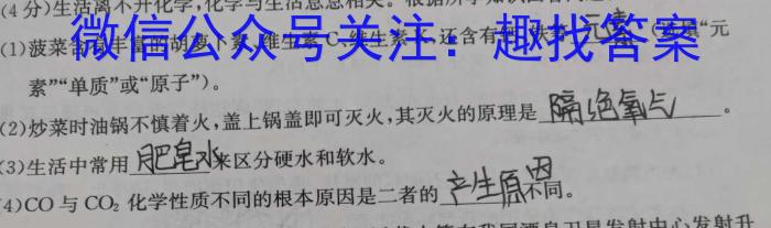 q安徽省宿州市萧县某中学2023-2024学年八年级下学期6月纠错练习化学