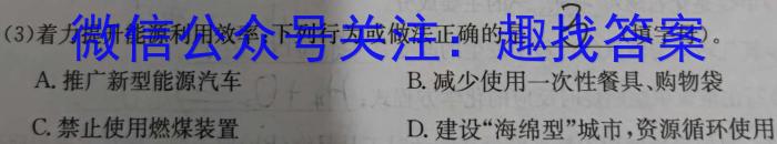 中考真题 2024年陕西省初中学业水平考试化学