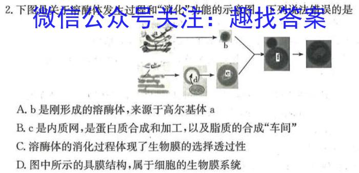 山东学情高一下学期第一次阶段性调研（4月）生物学试题答案