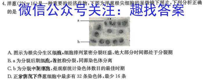 龙岩市2024年高中毕业班三月教学质量检测生物学试题答案