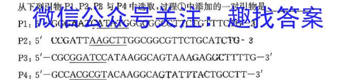 初中"诗画安徽·探索之旅"2024届九年级考试(双菱形)生物学试题答案