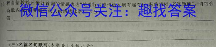 江西省九江市永修县某校2023-2024学年度下学期九年级阶段（一）质量检测试卷语文