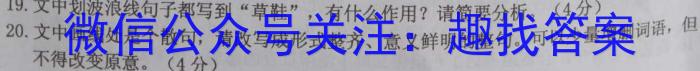 甘肃省2023-2024学年高二第二学期期中联考试卷语文