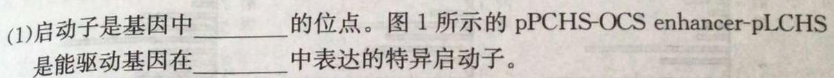 山东省日照市2021级高三模拟考试（2月）生物学