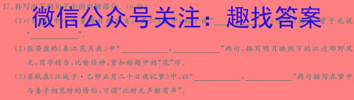 NT教育·2023-2024学年第二学期5月高二阶段测试卷语文