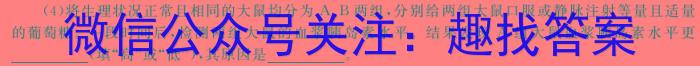 1号卷·2024年A10联盟2023级高二上学期9月初开学摸底考生物学试题答案